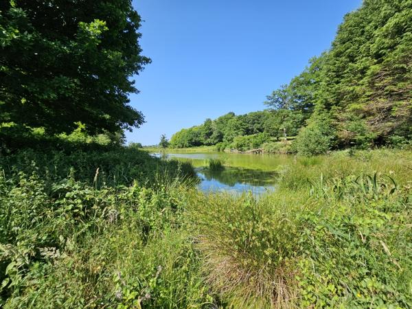ETANG DE LOISIRS