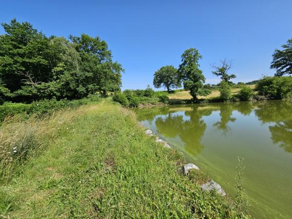 ETANG DE LOISIRS