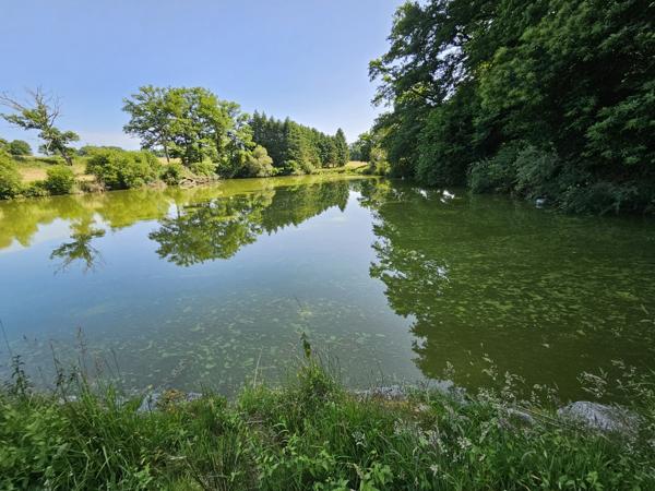 ETANG DE LOISIRS