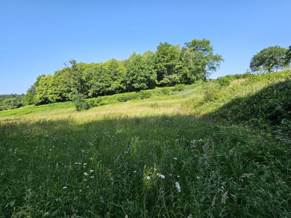ETANG DE LOISIRS