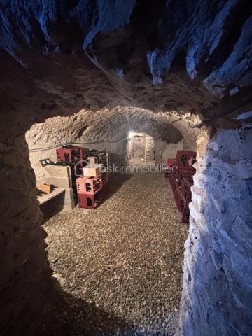 À l'entrée d'Esvres, laissez-vous séduire par le charme et le potentiel de cette magnifique longère de caractère de plus de 220 m², implantée sur une parcelle d'environ 1 400 m².
 Le hall d'entrée vous offre d'un côté, une belle pièce de vie avec cuisine ouverte d'environ 40 m², sublimée par un élégant sol en travertin et un insert. De l'autre, un vaste salon indépendant offre un second espace de réception particulièrement agréable. Une superbe pièce de 32 m², aujourd'hui aménagée en salle de jeux, complète ce niveau et offre de multiples possibilités selon vos envies. Le ton est donné : authenticité, volumes généreux et convivialité.
Le rez-de-chaussée dispose également d'un espace nuit avec une chambre, une salle d'eau et un WC, permettant une véritable vie de plain-pied.
À l'étage, le palier dessert une première chambre avec sa salle de bains privative et son dressing, ainsi qu'une seconde chambre avec sa salle d'eau et son WC. En enfilade, une vaste pièce de plus de 40 m² au sol complète cet étage : chambre supplémentaire, bureau, salle de sport, atelier... laissez libre cours à vos projets.
En sous-sol, vous découvrirez une superbe cave voûtée, véritable témoin du caractère et de l'histoire de cette bâtisse.
À l'extérieur, les dépendances constituent un véritable atout : une superbe grange de 98 m² avec sa toiture en ardoise naturelle, une annexe, un local poubelle ainsi que des combles exploitables offrant un formidable potentiel d'aménagement.
Le confort est également au rendez-vous avec une buanderie alimentée par l'eau du puits, qui alimente également la superbe piscine couverte de 10 x 5 mètres et son local technique. Enfin, un vaste garage de 71 m² complète cet ensemble rare.
Une propriété pleine de caractère, parfaitement entretenue, où il fait bon vivre, idéale pour une grande famille, une activité professionnelle ou tout simplement pour les amoureux des belles bâtisses à la recherche d'espace et de potentiel. Une visite s'impose !