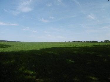 Terrain de loisirs - Bois - Etang à vendre à Montchauvet dans le Calvados (14350), ref : 14076-5428