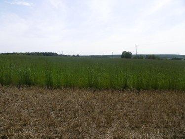 Terrain de loisirs - Bois - Etang à vendre à Montchauvet dans le Calvados (14350), ref : 14076-5428