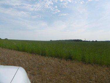 Terrain de loisirs - Bois - Etang à vendre à Montchauvet dans le Calvados (14350), ref : 14076-5428