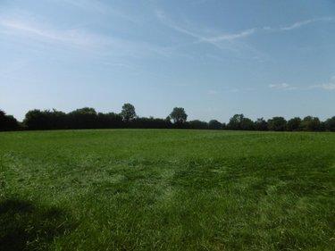 Terrain de loisirs - Bois - Etang à vendre à Montchauvet dans le Calvados (14350), ref : 14076-5428
