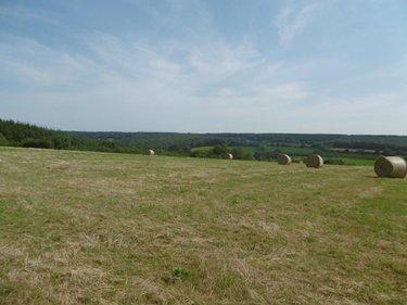 Terrain de loisirs - Bois - Etang à vendre à Montchauvet dans le Calvados (14350), ref : 14076-5428