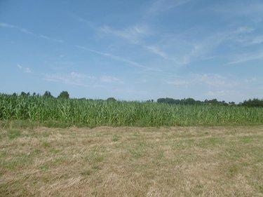 Terrain de loisirs - Bois - Etang à vendre à Montchauvet dans le Calvados (14350), ref : 14076-5428