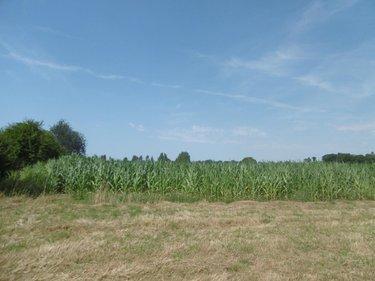 Terrain de loisirs - Bois - Etang à vendre à Montchauvet dans le Calvados (14350), ref : 14076-5428