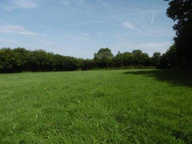 Terrain de loisirs - Bois - Etang à vendre à Montchauvet dans le Calvados (14350), ref : 14076-5428