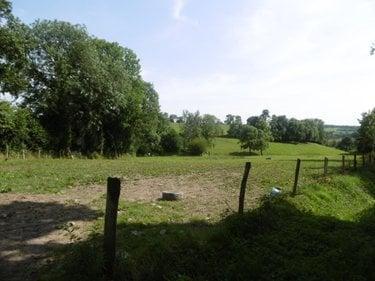 Terrain de loisirs - Bois - Etang à vendre à Montchauvet dans le Calvados (14350), ref : 14076-5428