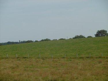 Terrain de loisirs - Bois - Etang à vendre à Montchauvet dans le Calvados (14350), ref : 14076-5428