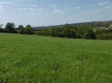 Terrain de loisirs - Bois - Etang à vendre à Montchauvet dans le Calvados (14350), ref : 14076-5428