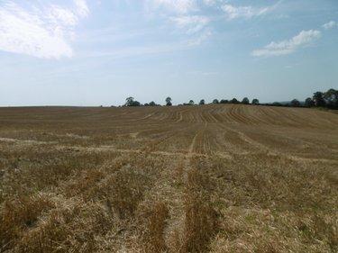 Terrain de loisirs - Bois - Etang à vendre à Montchauvet dans le Calvados (14350), ref : 14076-5428