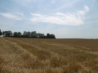 Terrain de loisirs - Bois - Etang à vendre à Montchauvet dans le Calvados (14350), ref : 14076-5428