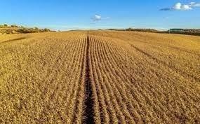 Bien agricole à vendre à Levroux dans l'Indre (36110), ref : 021/1529