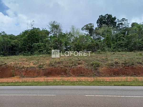 Achat terrain Roura - 20000 m² - 152 300 €