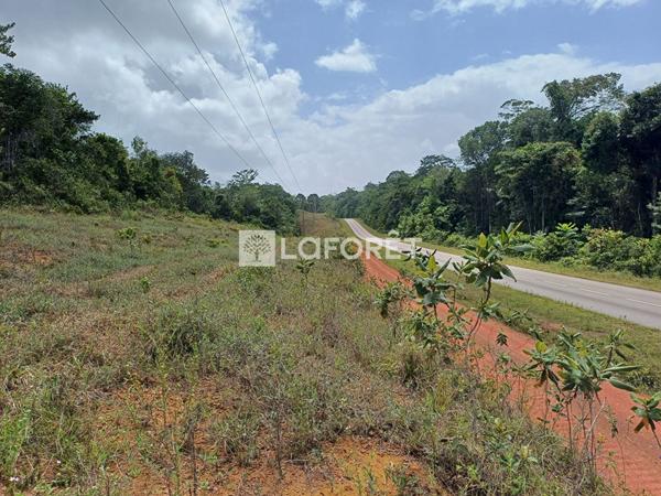 Achat terrain Roura - 20000 m² - 152 300 €