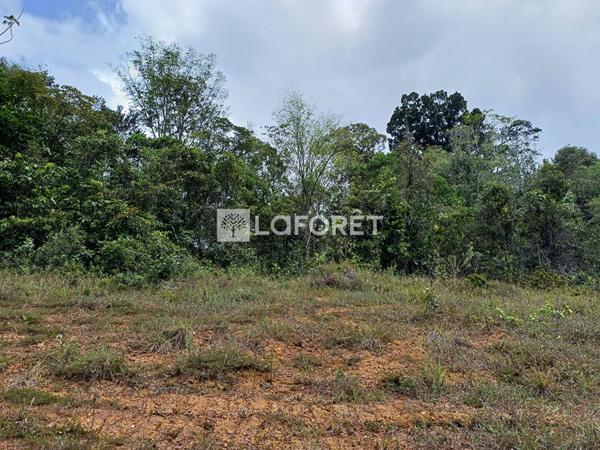 Achat terrain Roura - 20000 m² - 152 300 €