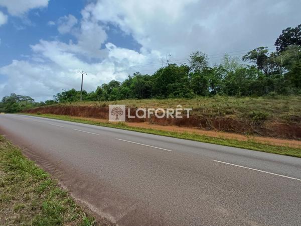 Achat terrain Roura - 20000 m² - 152 300 €