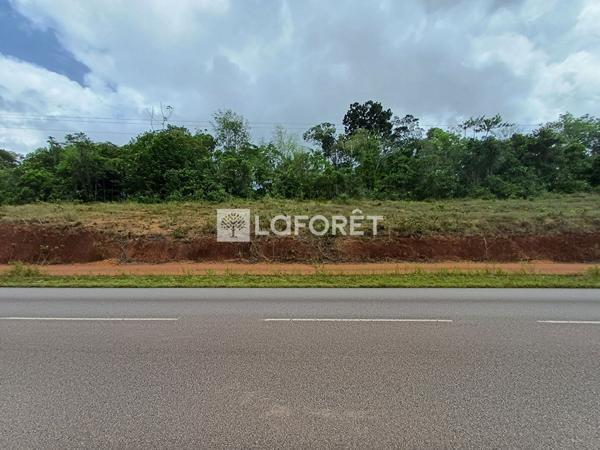 Achat terrain Roura - 20000 m² - 152 300 €