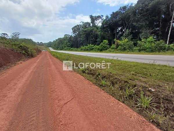 Achat terrain Roura - 20000 m² - 152 300 €