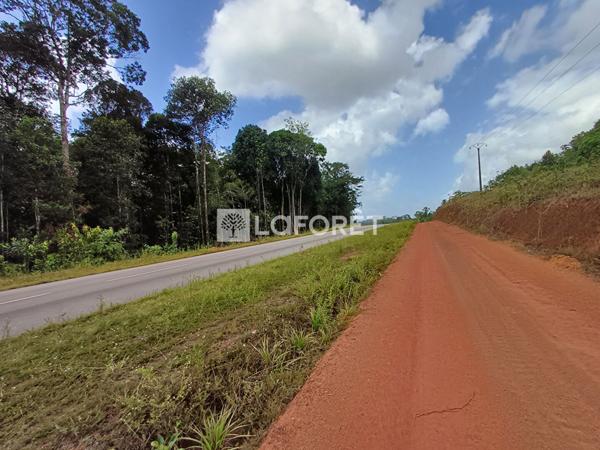 Achat terrain Roura - 20000 m² - 152 300 €