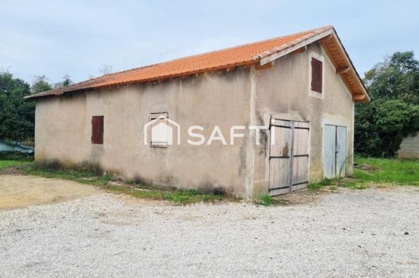 Investisseurs, opportunité rare à fort potentiel