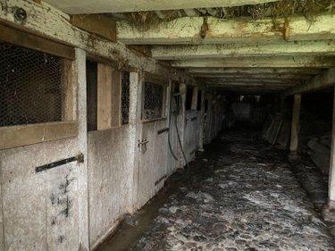 Bâtiment agricole à vendre à Drugeac dans le Cantal (15140), ref : 15060/931