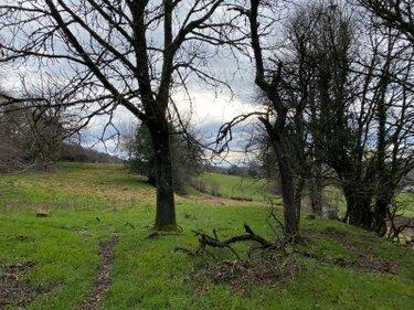 Bâtiment agricole à vendre à Drugeac dans le Cantal (15140), ref : 15060/931