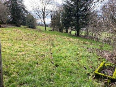 Bâtiment agricole à vendre à Drugeac dans le Cantal (15140), ref : 15060/931