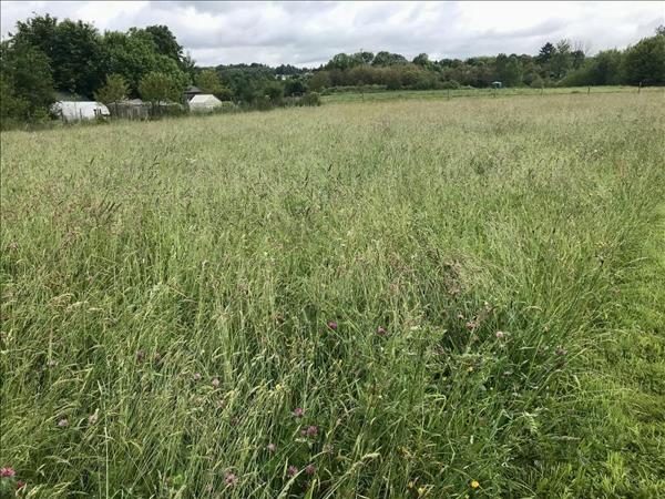 Terrain à vendre |  Lubersac |  2250 m²