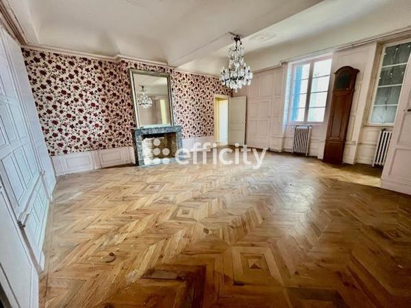 Immeuble 15 pièces - 350 m² Exclusivité efficity