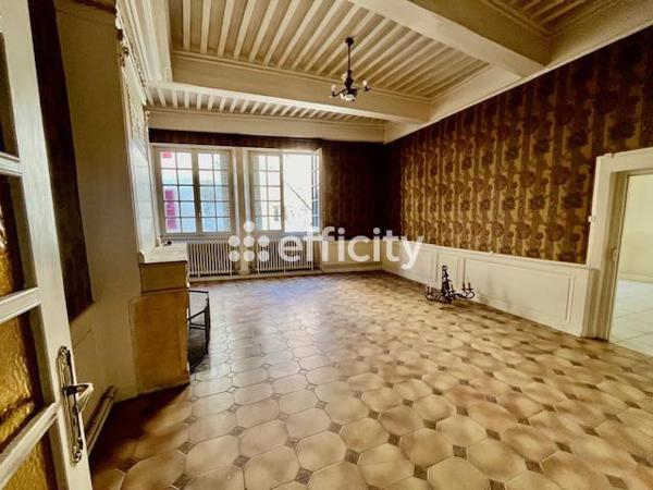 Immeuble 15 pièces - 350 m² Exclusivité efficity