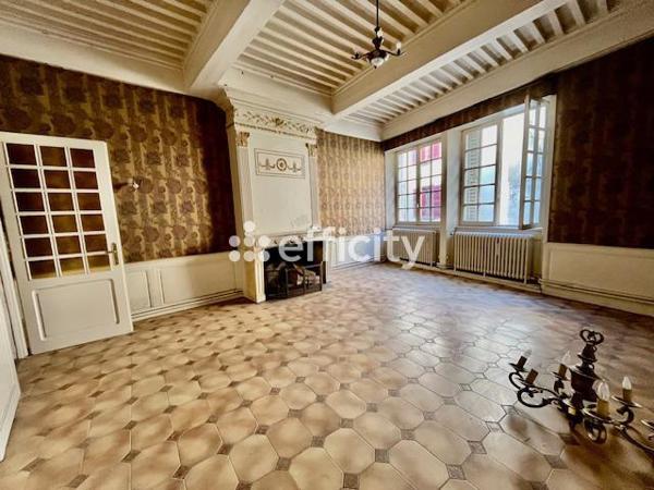 Immeuble 15 pièces - 350 m² Exclusivité efficity