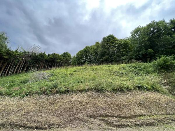 Vente Terrain 1050 m2 à Villers-Cotterêts