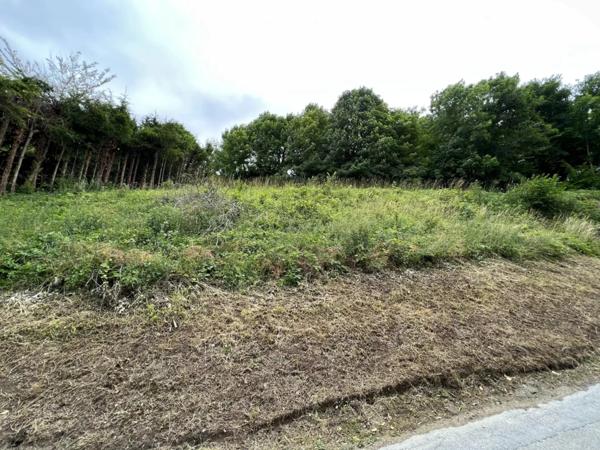 Vente Terrain 1050 m2 à Villers-Cotterêts