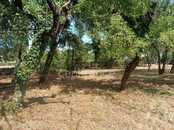Maison à vendre 5 pièces BILLY CHEVANNES (58)