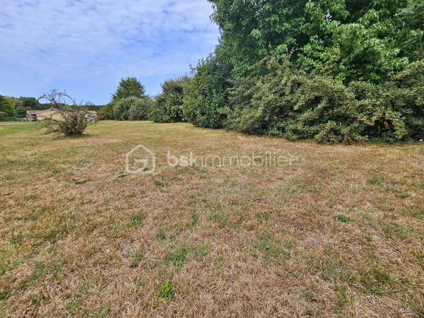 Terrain de 1 428 m²