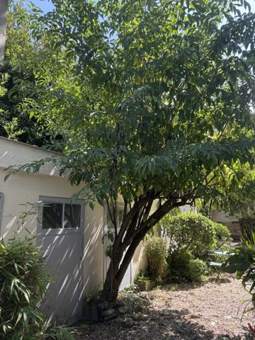 Biarritz (64200) BIARRITZ SAINT CHARLES APPARTEMENT T2 DANS BATISSE HISTORIQUE