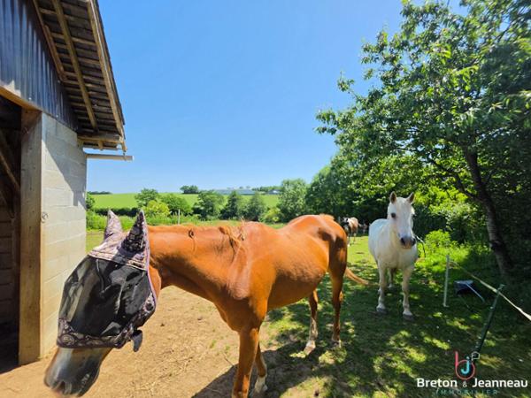 Superbe Propriété sur 2 hectares Secteur Bais