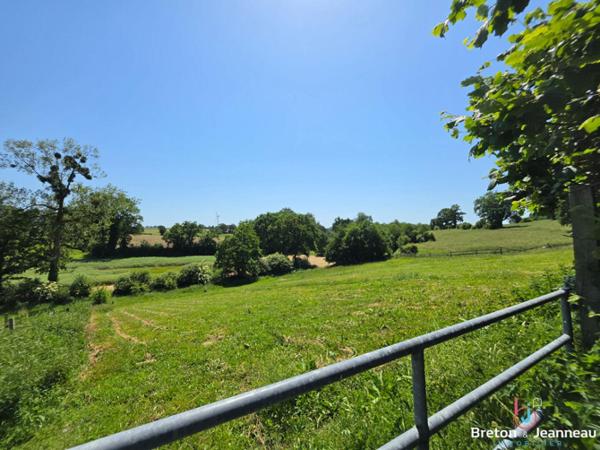 Superbe Propriété sur 2 hectares Secteur Bais
