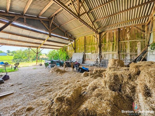 Superbe Propriété sur 2 hectares Secteur Bais