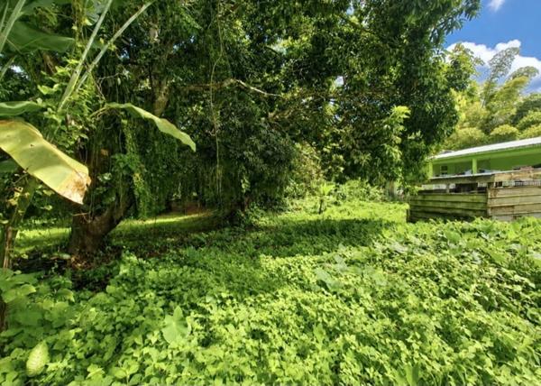 A vendre - Terrain plat de 729 m² – Ajoupa-Bouillon – Secteur Adinet