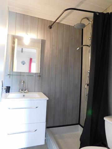 Toulouse Rangueil 31400 - T1 BIS DUPLEX meublé - parking-