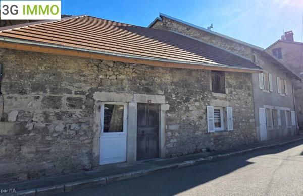 Vente / Maison en pierre