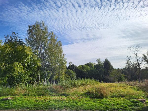 Terrain 1599 m2