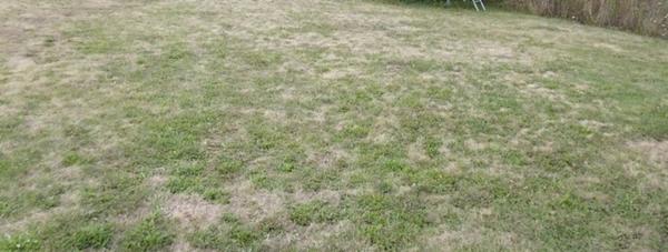 Terrain 828 m²  LEGE (44)