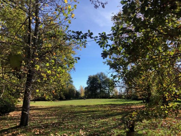 Dpt (32) NOGARO proche, ELEGANTE MAISON DE NOTABLES, économique, du XIXs 600M2, parc séculaire, dépendances en U, 11 ha, sans travaux,