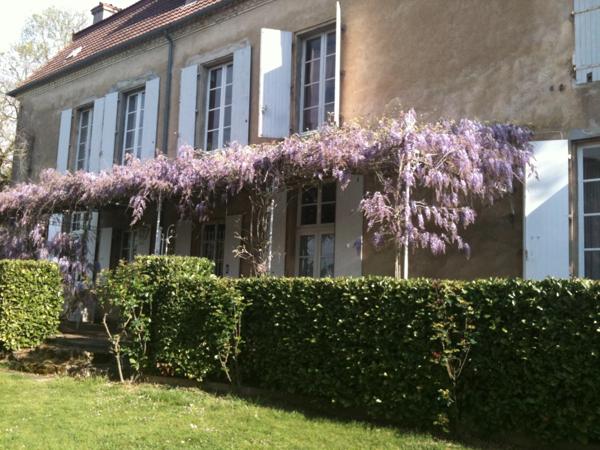 Dpt (32) NOGARO proche, ELEGANTE MAISON DE NOTABLES, économique, du XIXs 600M2, parc séculaire, dépendances en U, 11 ha, sans travaux,