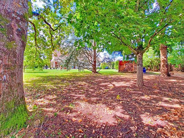 SAINT JEAN LE BLANC/ILE CHARLEMAGNE - 190M2 - JARDIN ARBORE ET CLOS - 4 CHAMBRES ET 1 BUREAU- GARAGE